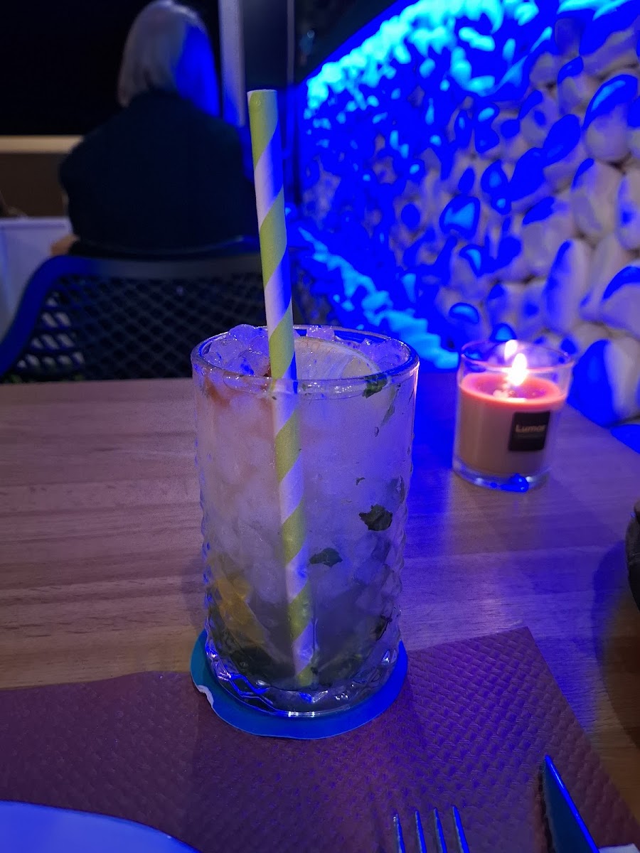 Indian Ocean Carihuela - Indian Restaurant-8